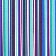 No 5 Interior Collection Blue Stripes

Please Click the image for more information.