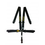 RPM LatchLink Stealth 5pt Harness
Complies with SFI 161More Compact Central Latch System3 Lap and Shoulder Belts2 Single AntiSub StrapPull Down adjusters on both lap beltsUltra Lightweight Alloy adjustersAttachments 3bar slide for wrap around a bar End Fittings Supplied Black OnlyThe 3 wide webbi.
Please Click the image for more information.