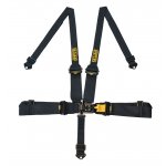 RPM LatchLink Stealth 5pt 2"/3" HANS Harness
Complies with SFI 161More Compact Central Latch System2 into 3 Shoulder Belts3 Waist Belts2 Single AntiSub StrapPull Down adjusters on both lap beltsUltra Lightweight Alloy adjustersAttachments 3bar slide for wrap around a bar End Fittings Supplied Black Only       Approved only for.
Please Click the image for more information.