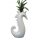 Surrounding Product: Seahorse Vase