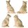 Surrounding Product: Cat Statues, Set of 2, Ivory & Gold, 60mm